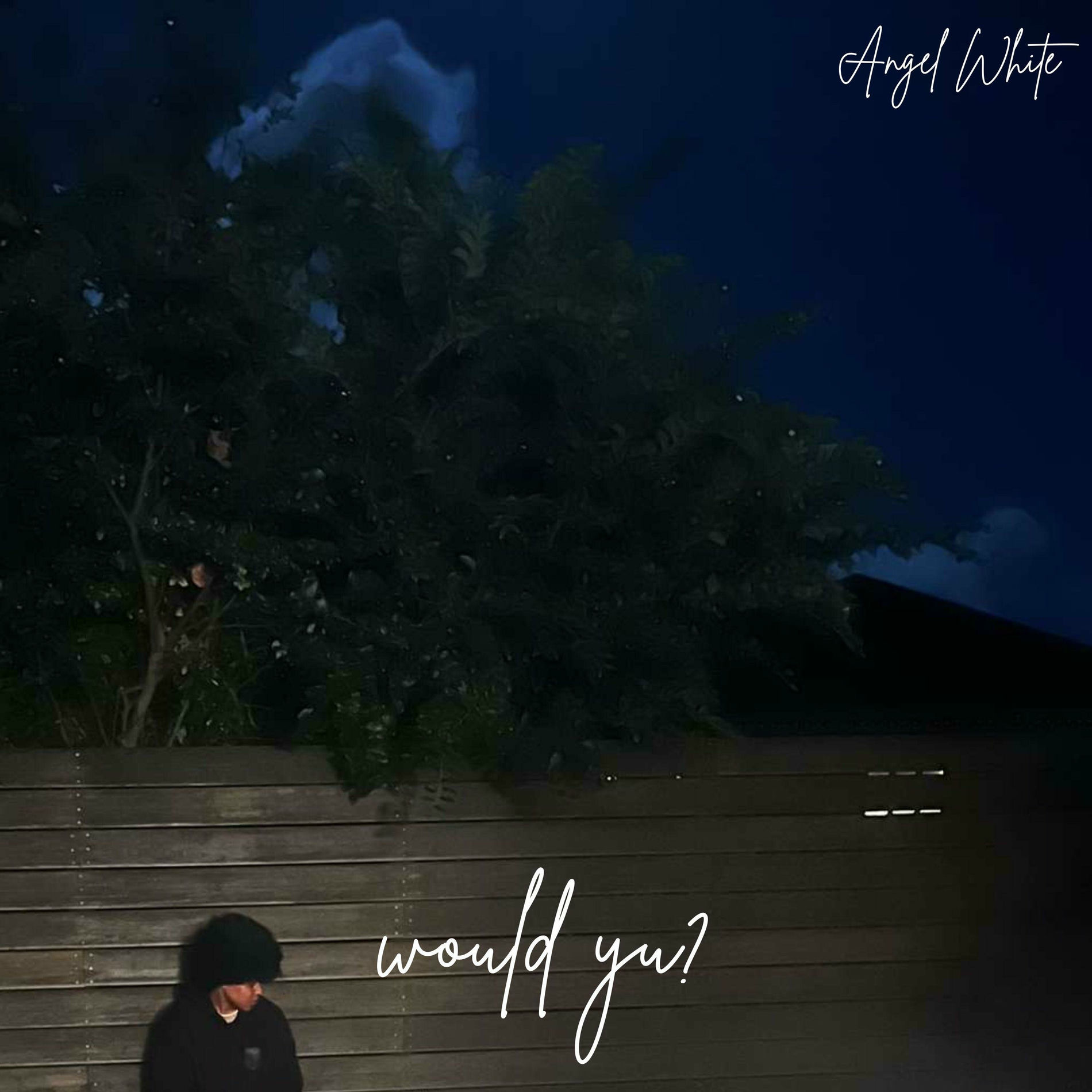 Album cover of would yu?