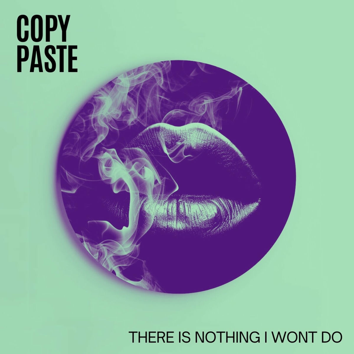 Album cover of There's Nothing I Wont Do
