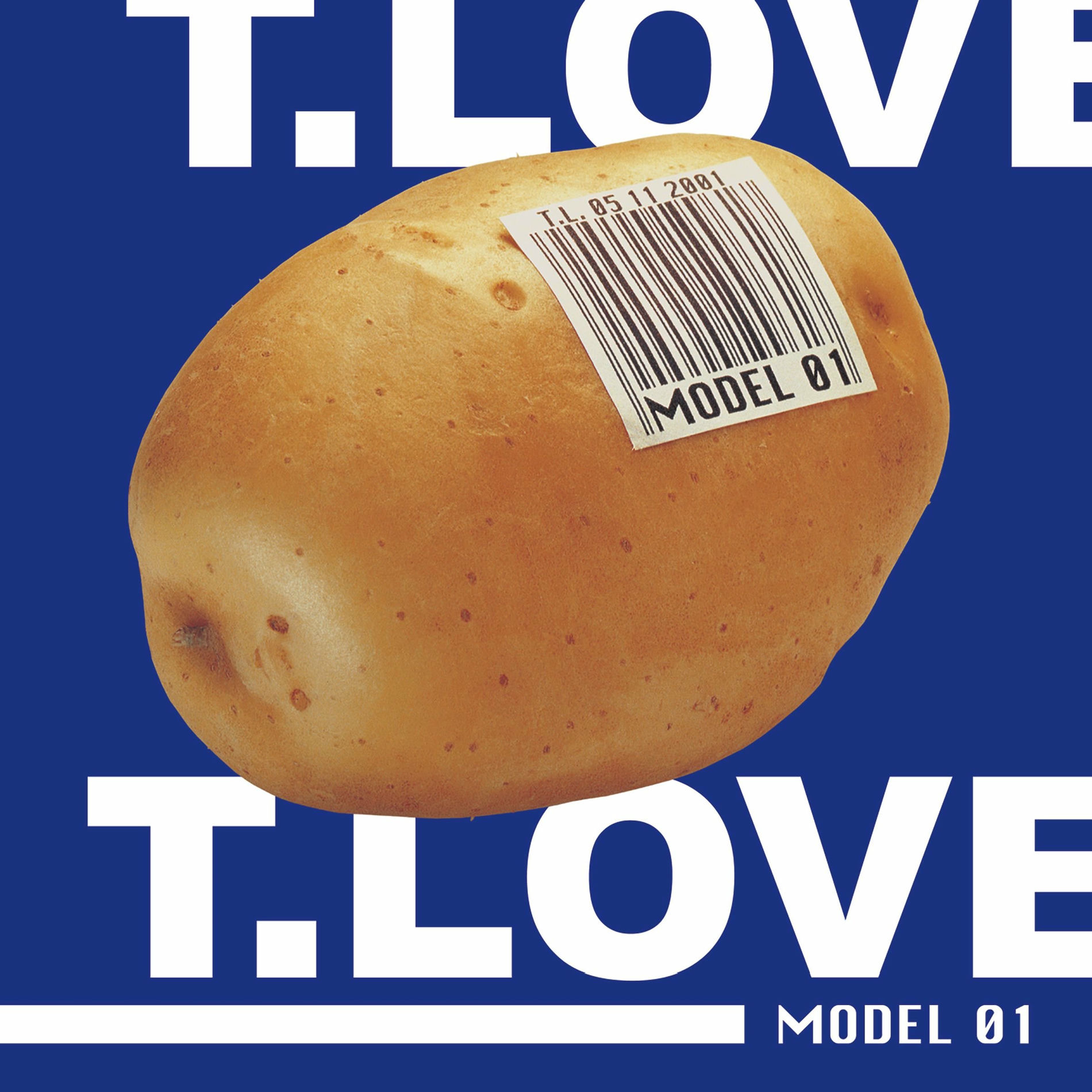 Album cover of Model 01