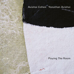 Cover of Playing The Room