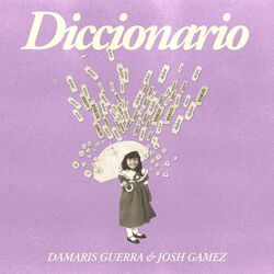 Cover of Diccionario