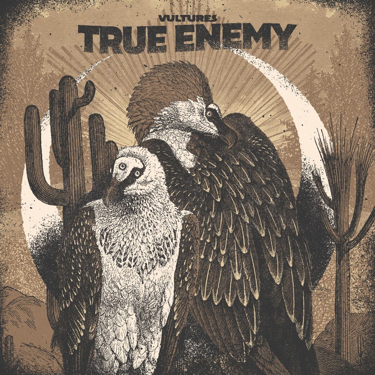Album cover of Vultures