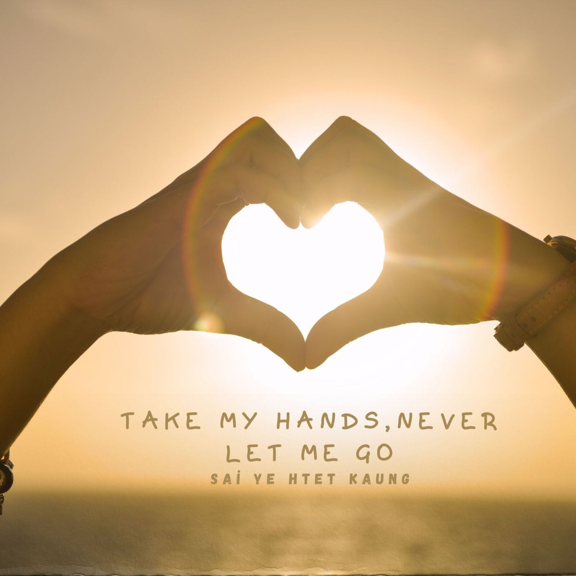 Album cover of Take My Hands, Never Let Me Go