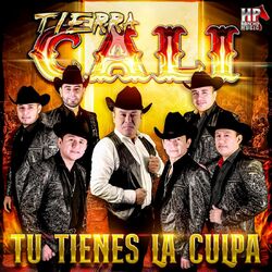 Cover of Tu Tienes la Culpa