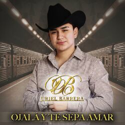 Cover of Ojalá Y Te Sepa Amar