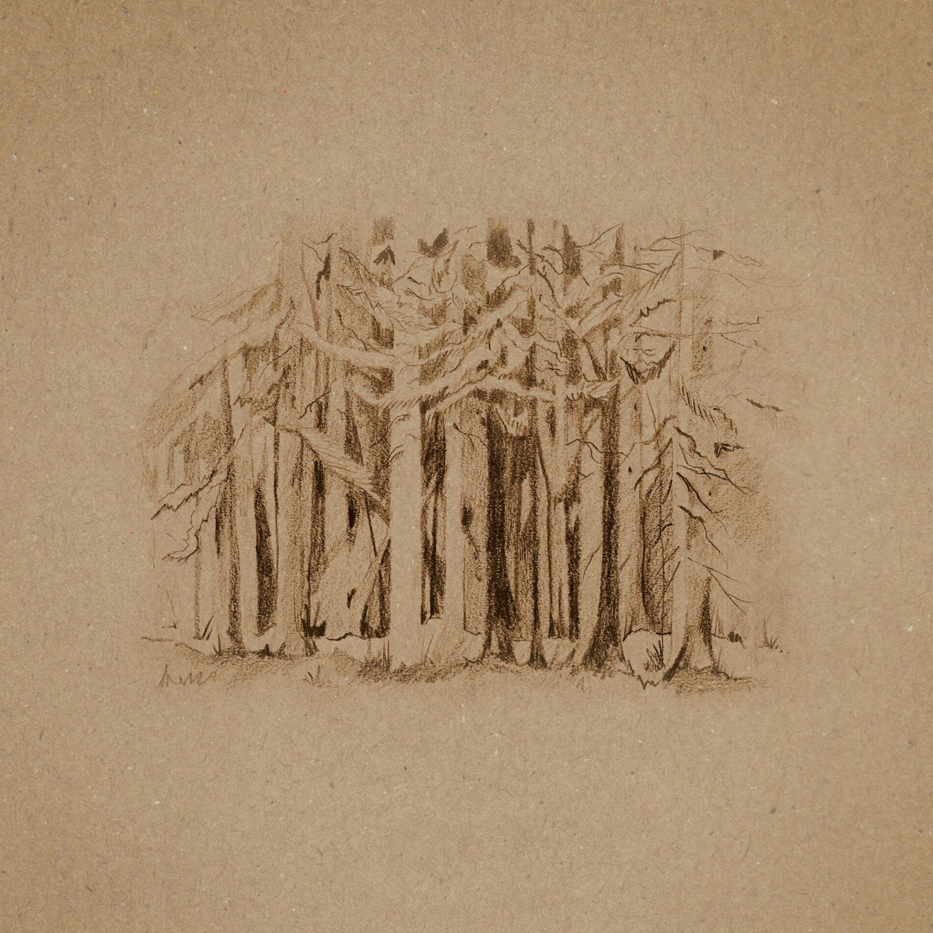 Album cover of The Anchorite
