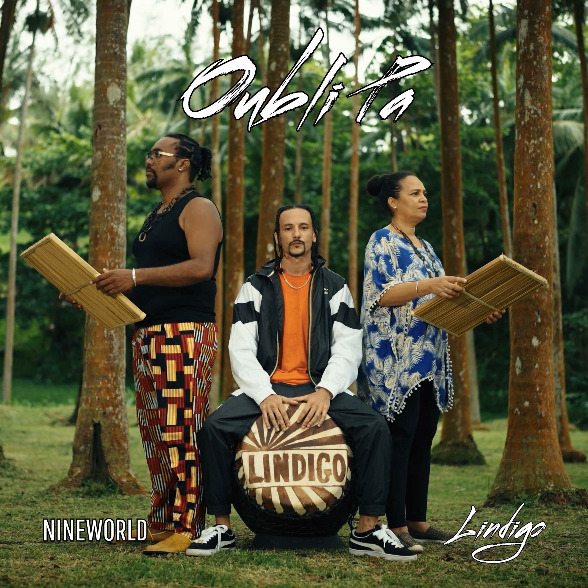 Album cover of Oubli Pa (feat. Lindigo)