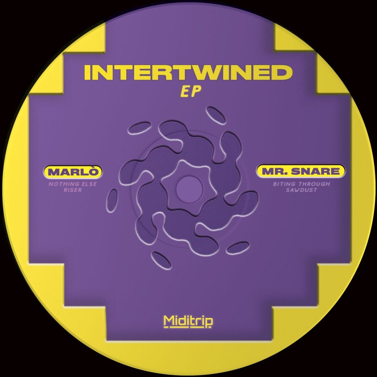 Album cover of Intertwined EP