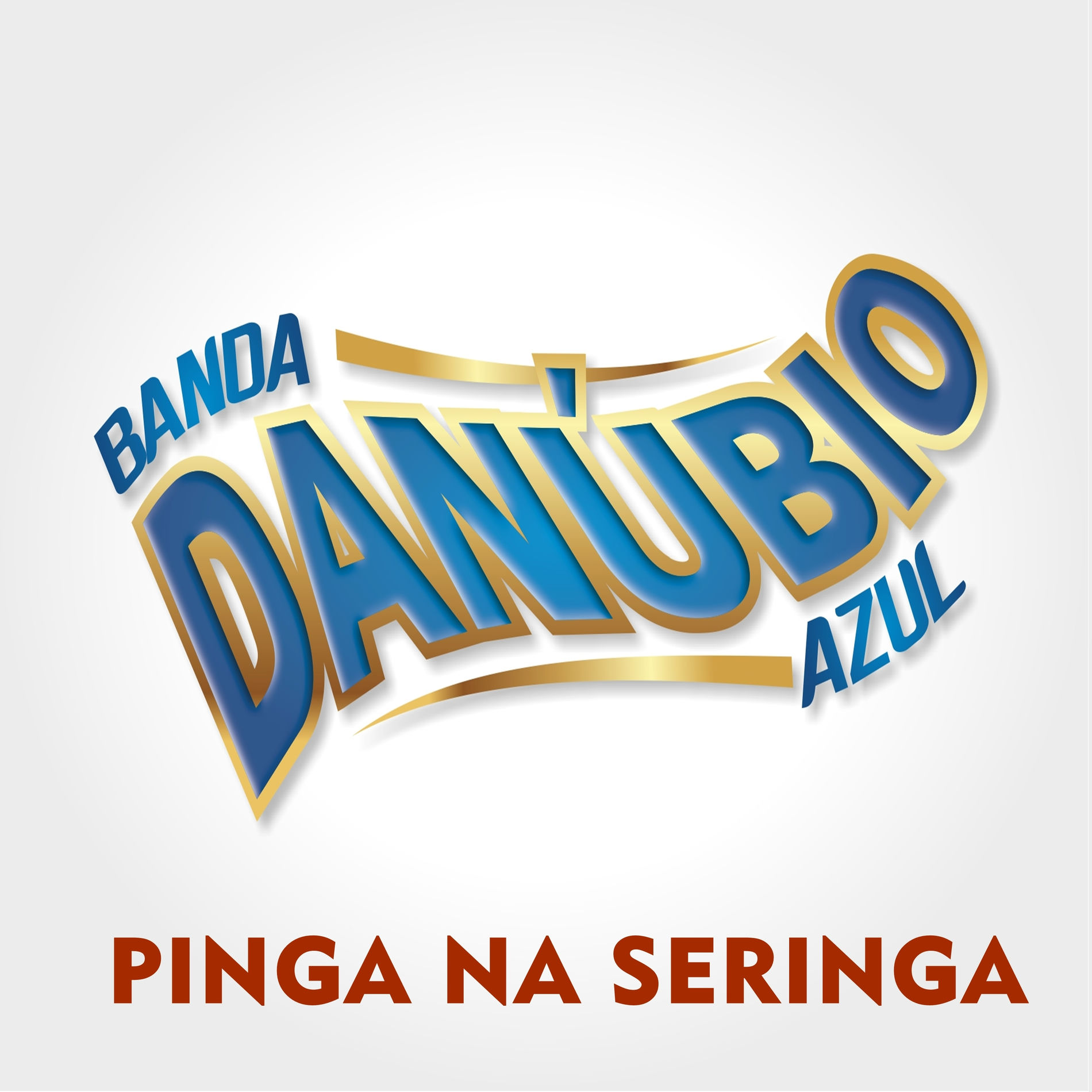 Album cover of Pinga na Seringa