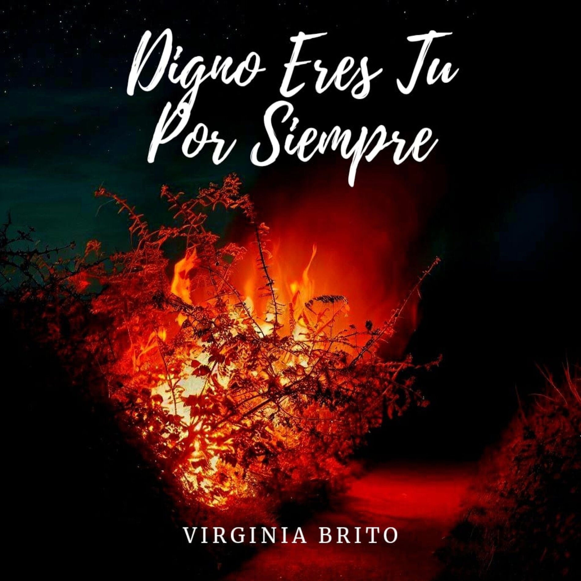 Album cover of Digno Eres Tu Por Siempre