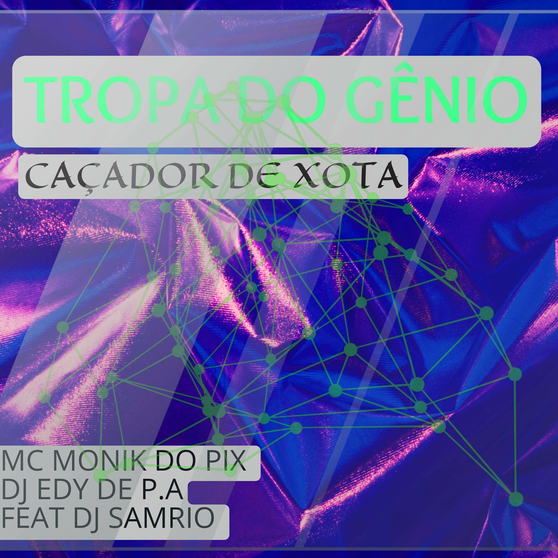 Album cover of TROPA DO GENIO CAÇADOR DE XOTA