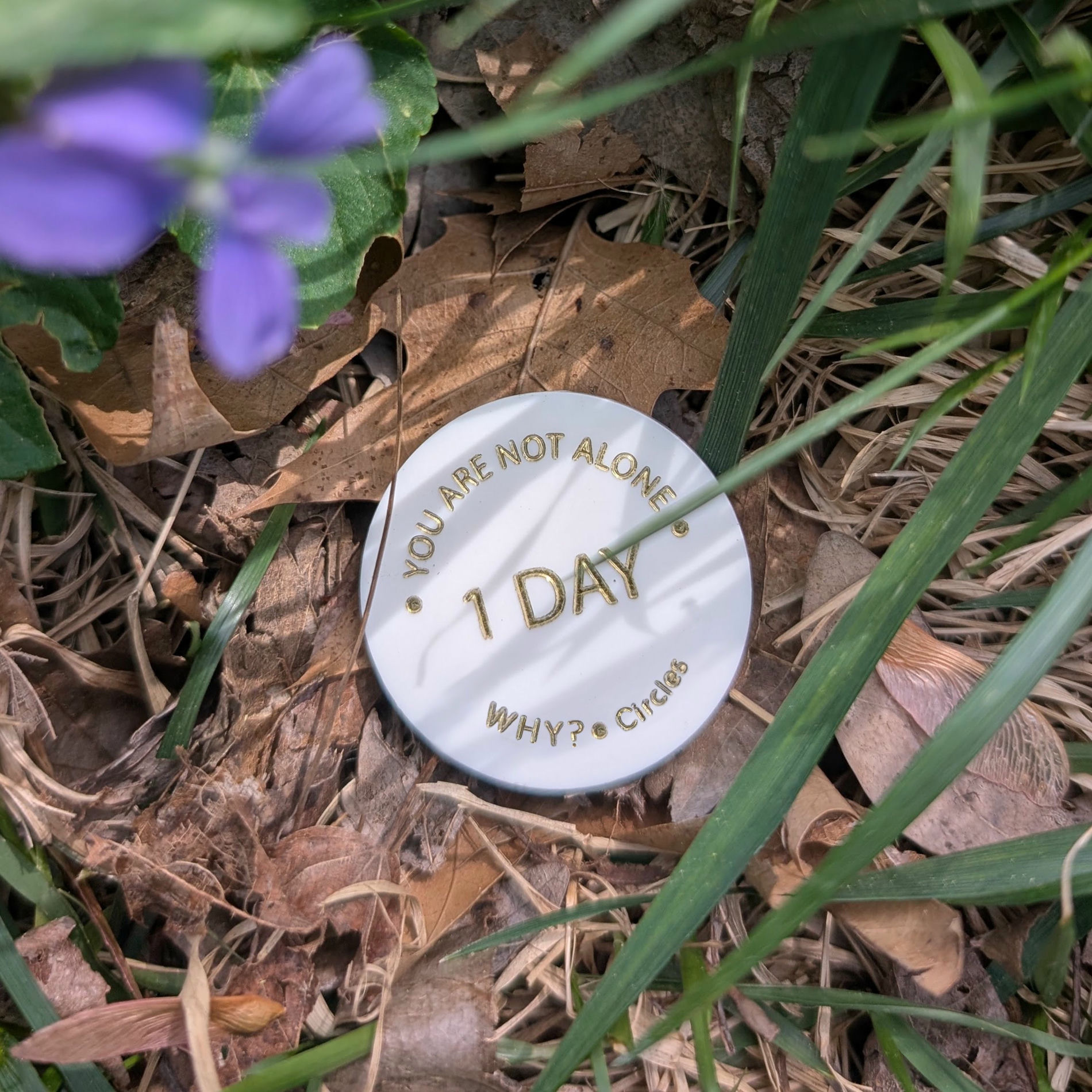 Album cover of Circles