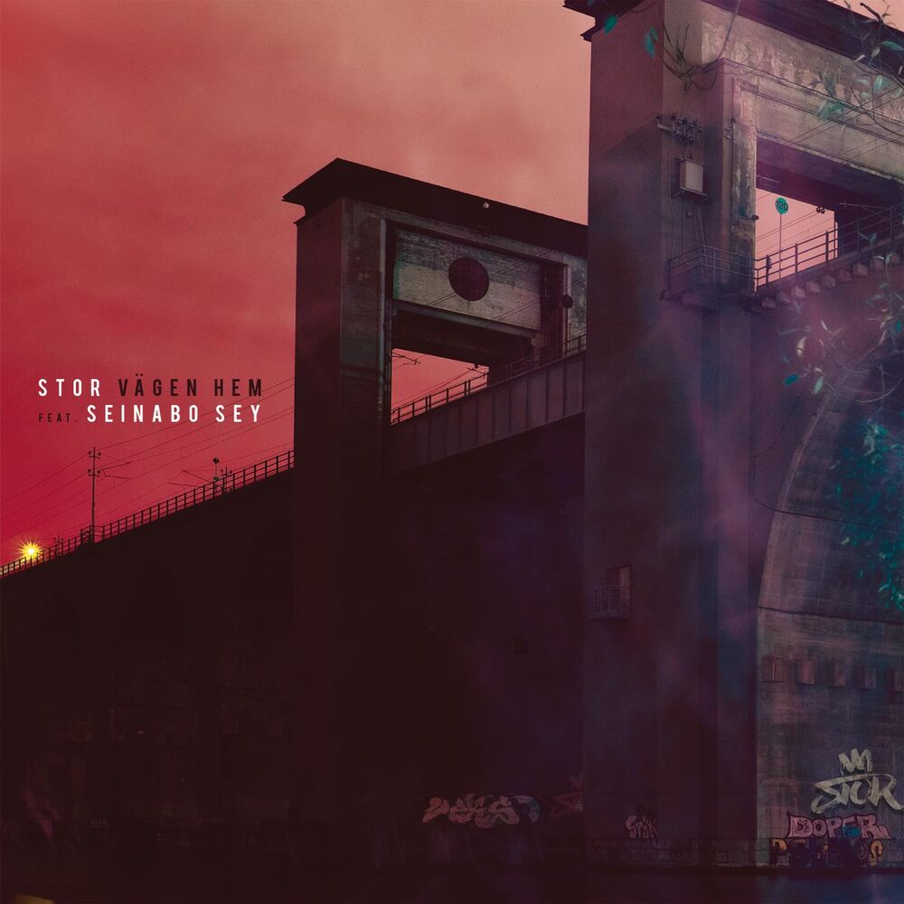 Picture of Vägen hem (feat. Seinabo Sey)