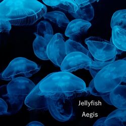 Cover of Jellyfish