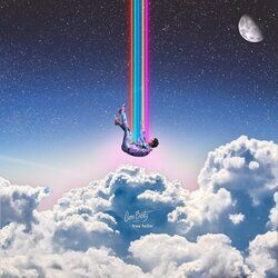 Cover of Free Fallin'