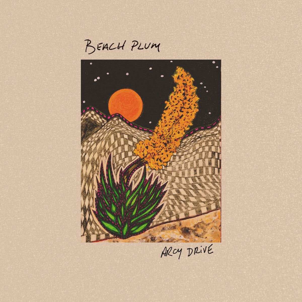 Album cover of Beach Plum
