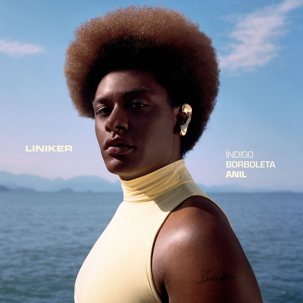 Album cover of Indigo Borboleta Anil