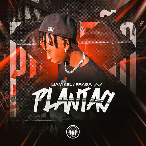 Plantão