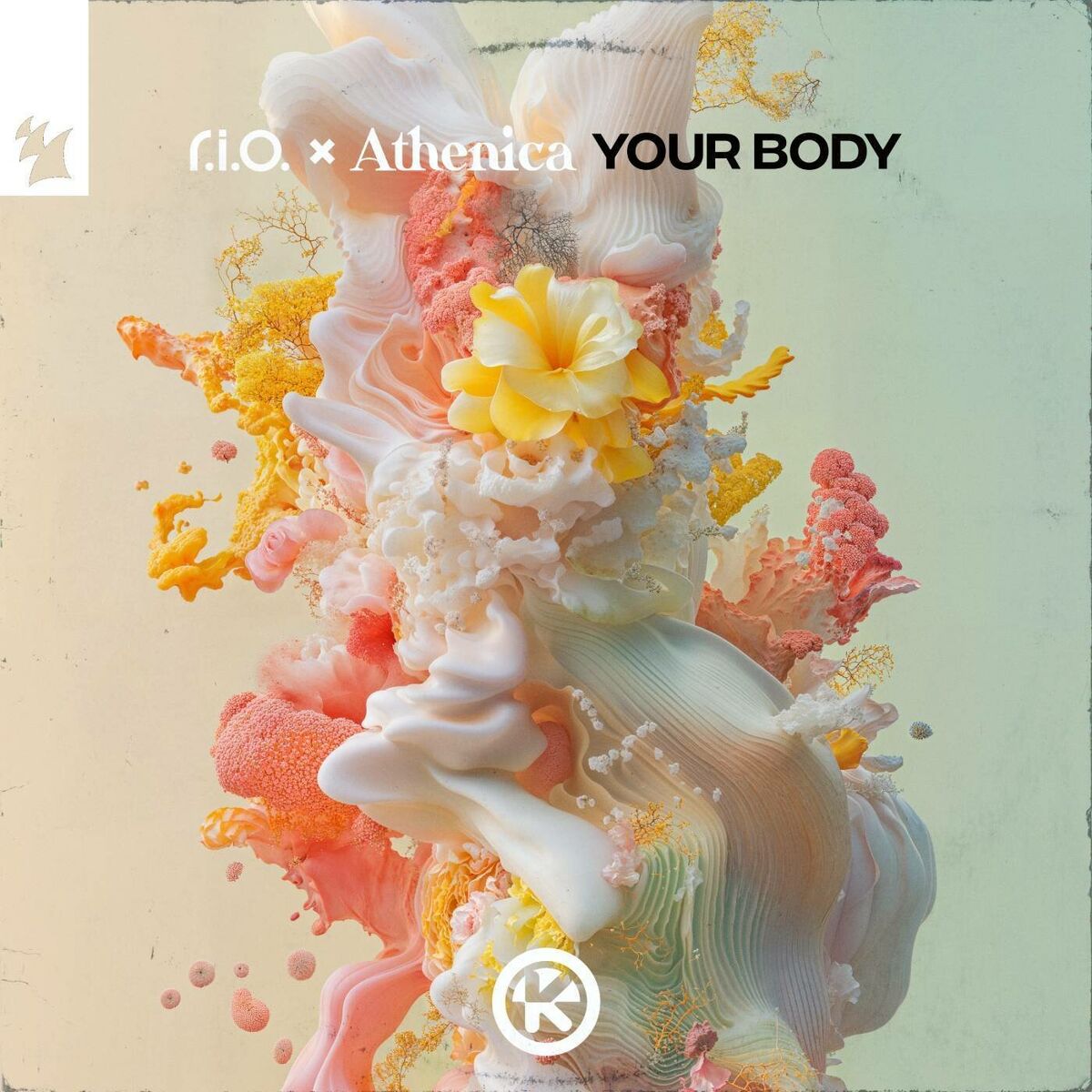 Album cover of Your Body