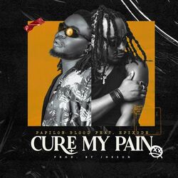 Cover of Cure My Pain