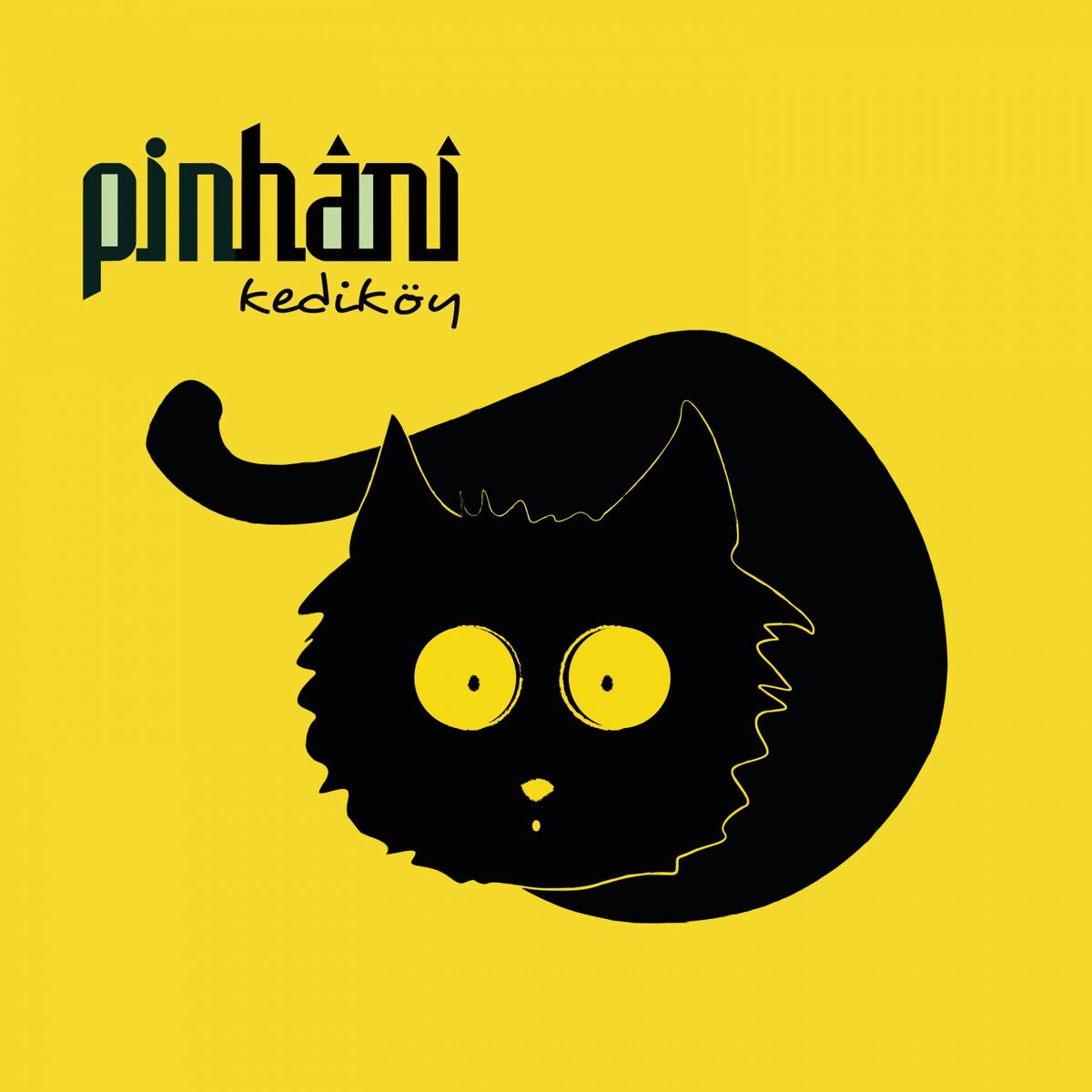 Album cover of Nehirler Durmaz