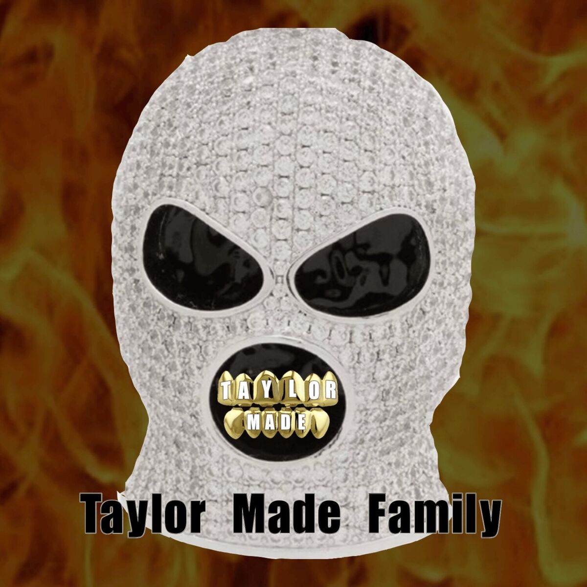 Album cover of Taylor Made Family