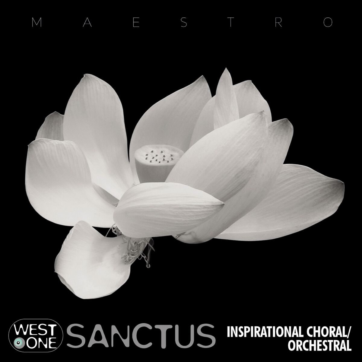Album cover of Sanctus