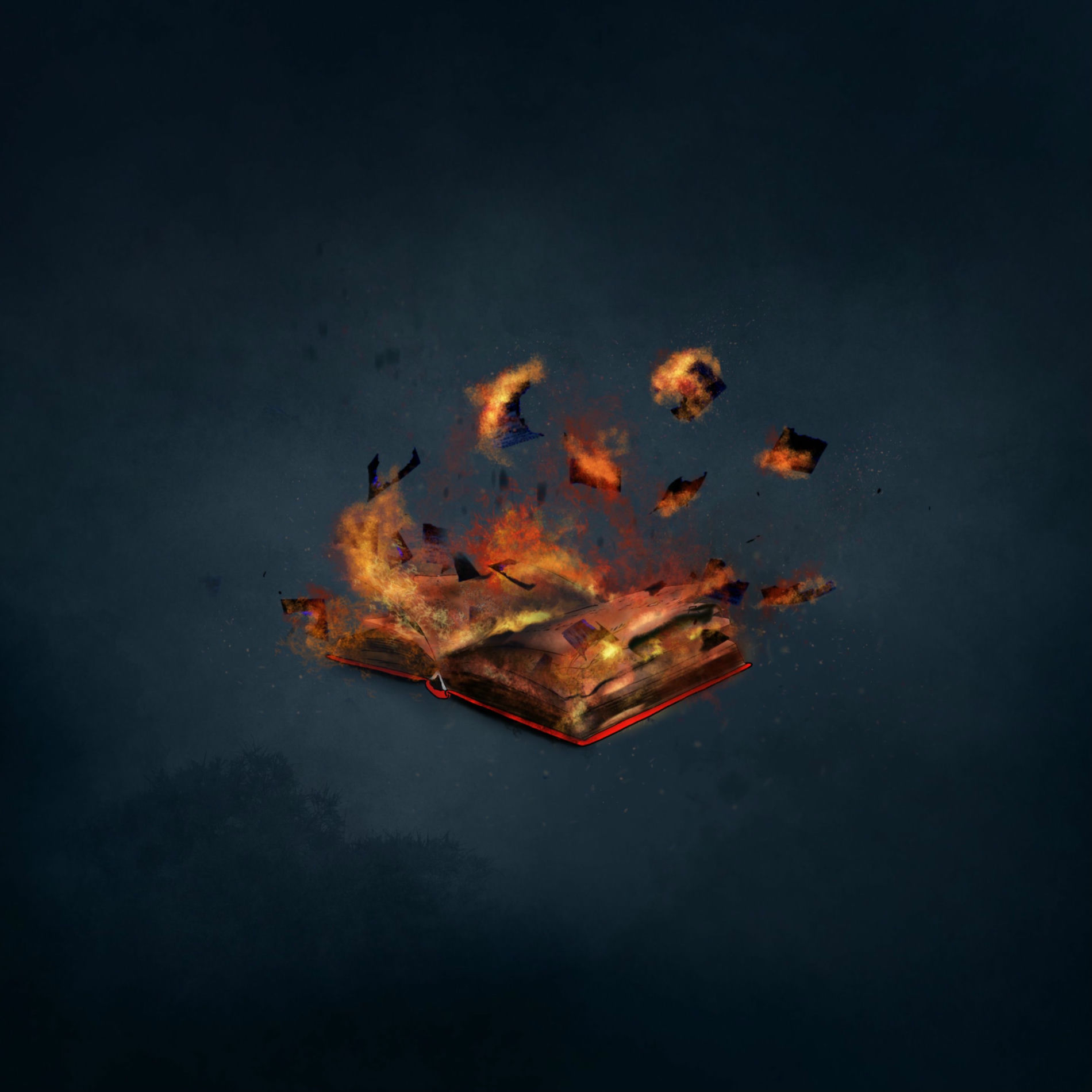 Album cover of last chapter