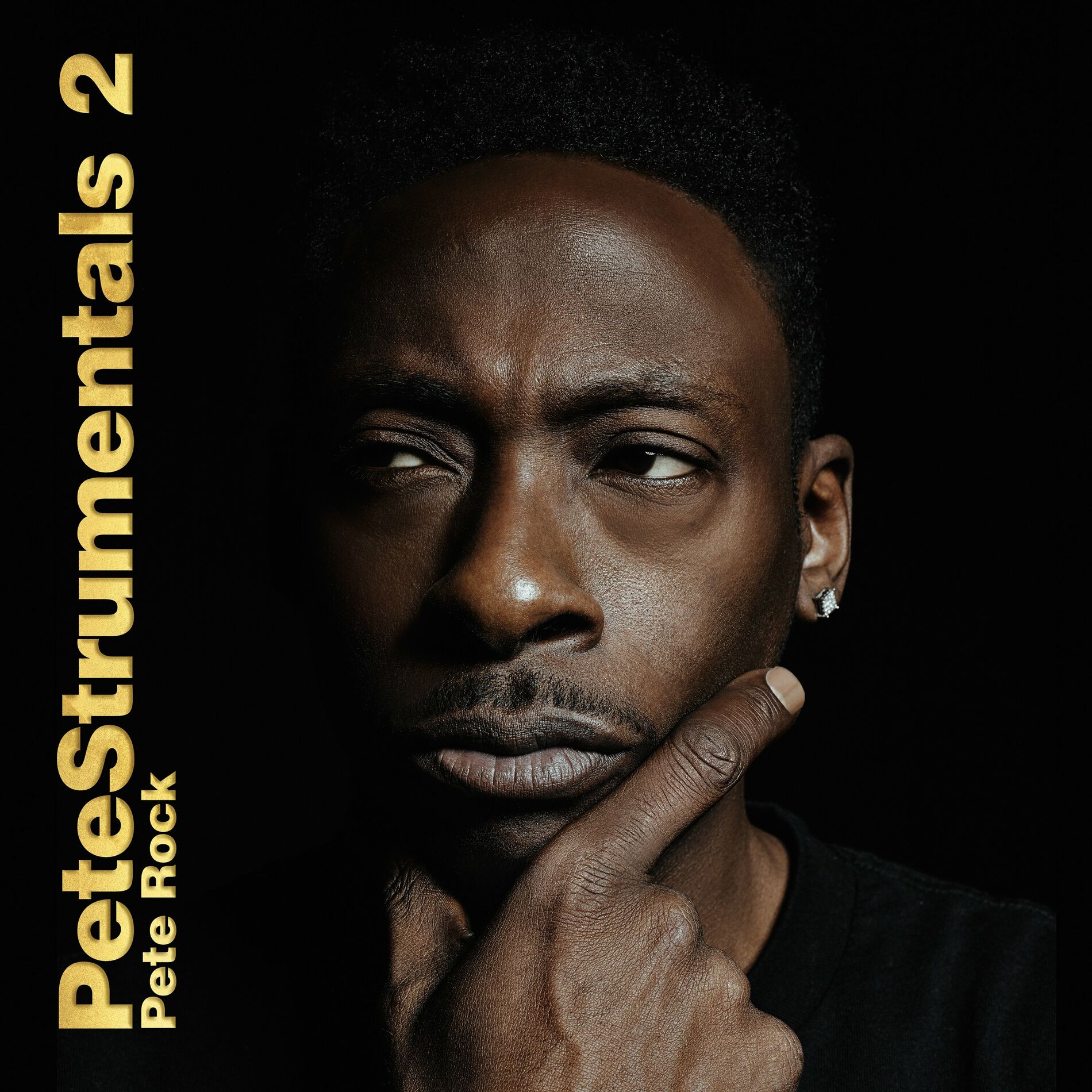 Album cover of Petestrumentals 2
