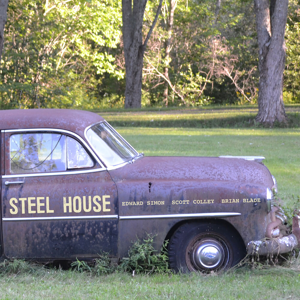 Picture of Steel House