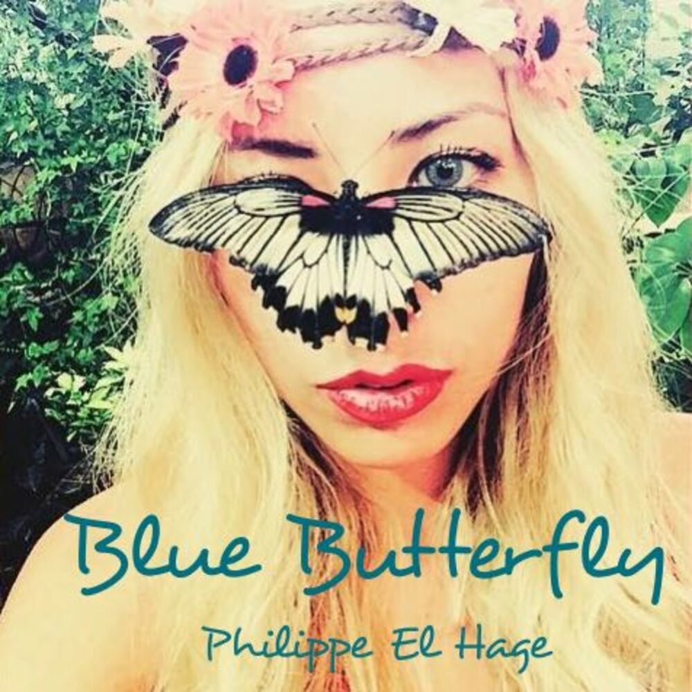 Picture of Blue Butterfly