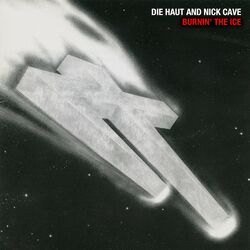 Cover of Burnin' the Ice