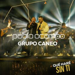 Cover of Qué Haré Sin Ti (En Vivo)