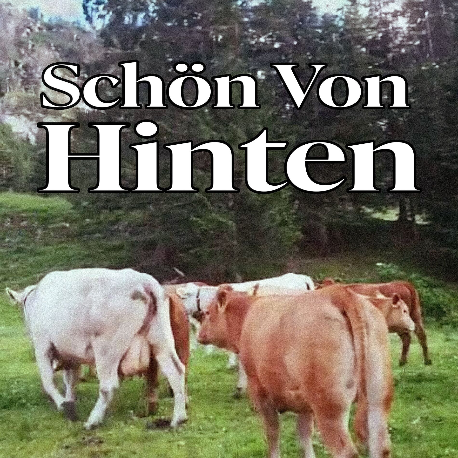 Album cover of Schön von hinten