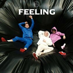 Cover of Feeling