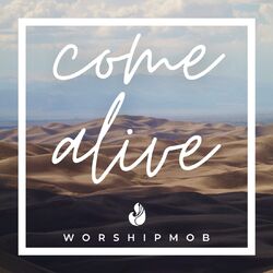 Cover of Come Alive
