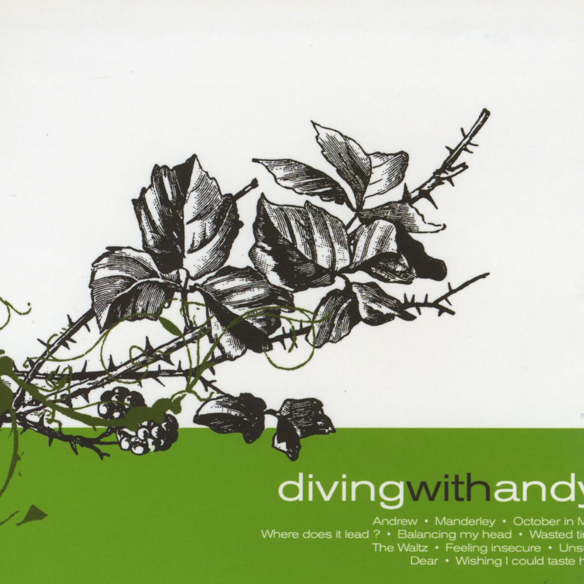 Album cover of Diving With Andy (Bonus Track Version)