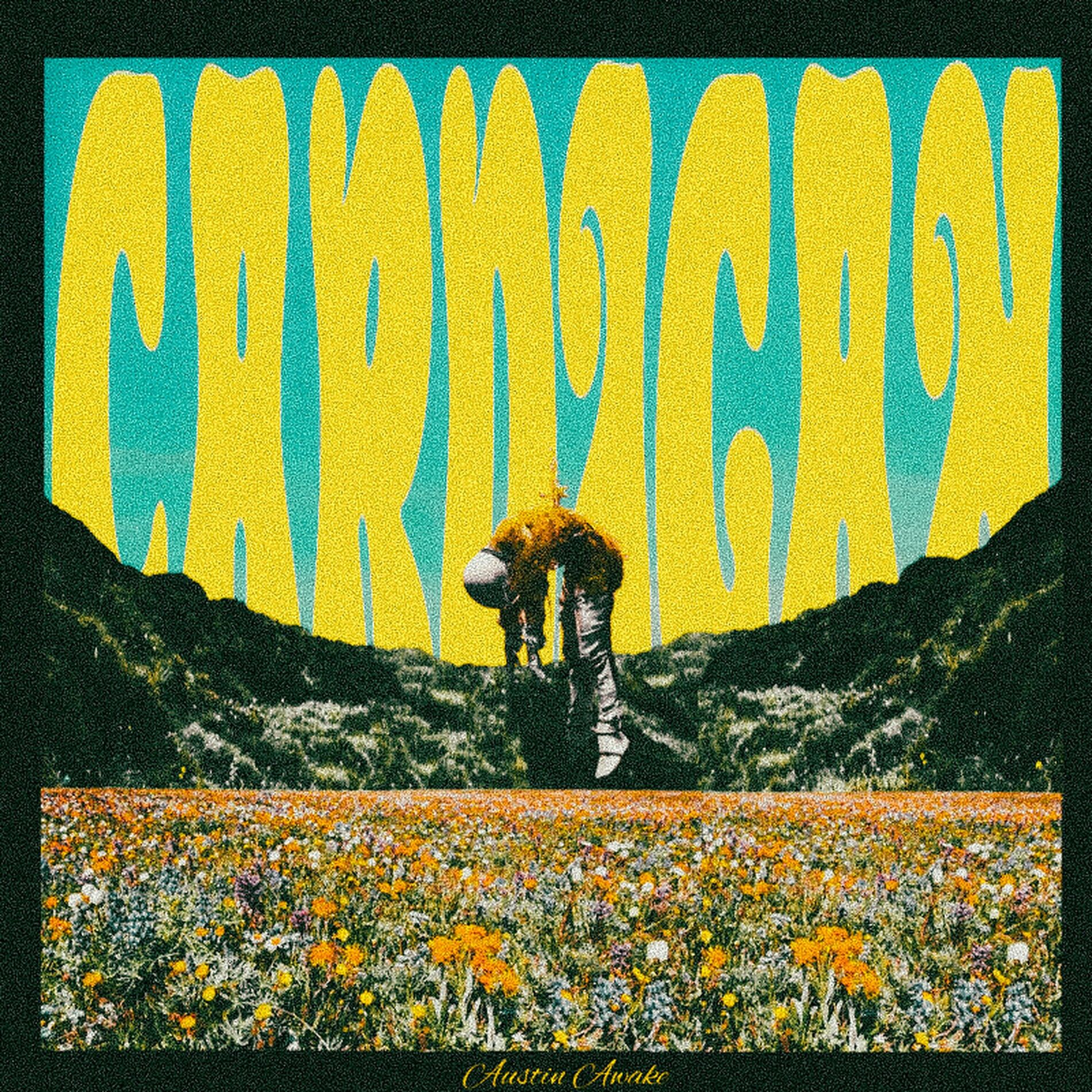 Album cover of CARDIGAN