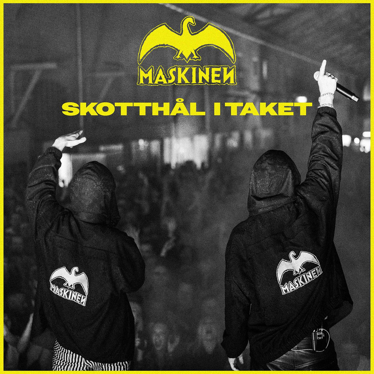 Album cover of Skotthål i taket
