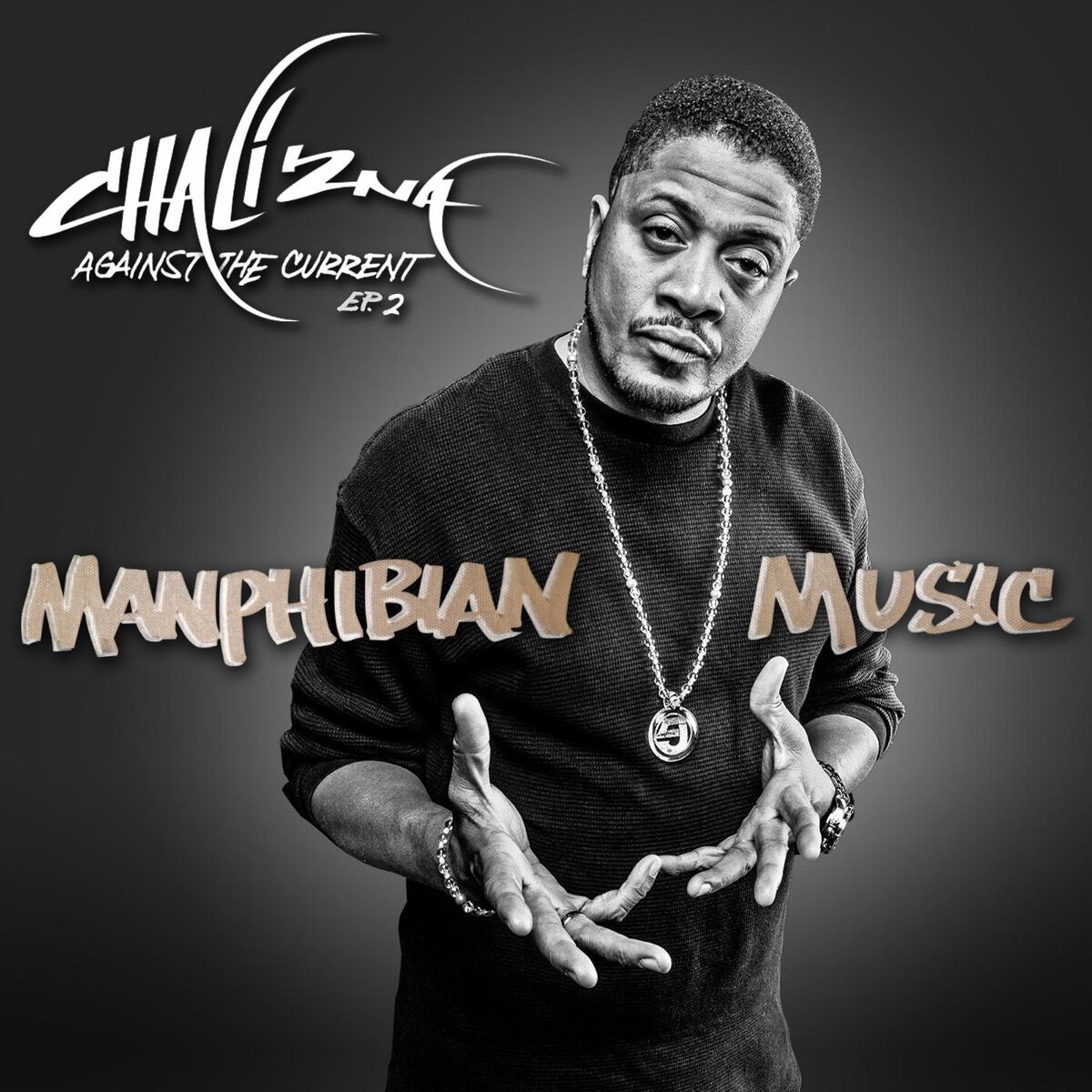 Album cover of Manphibious Intro