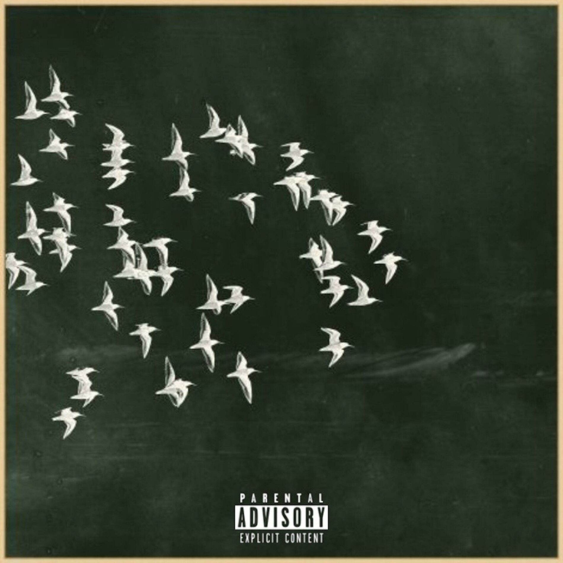 Album cover of The Black And White Album