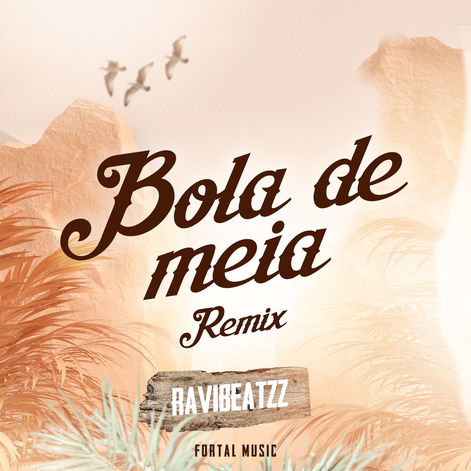 Album cover of Bola de Meia (Remix)