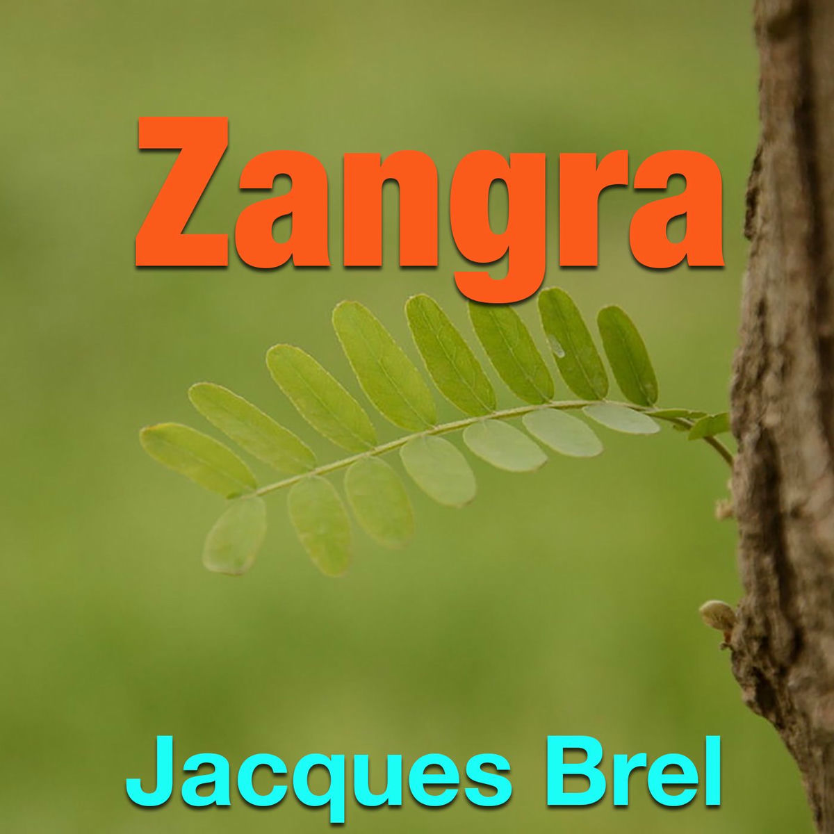 Album cover of Zangra