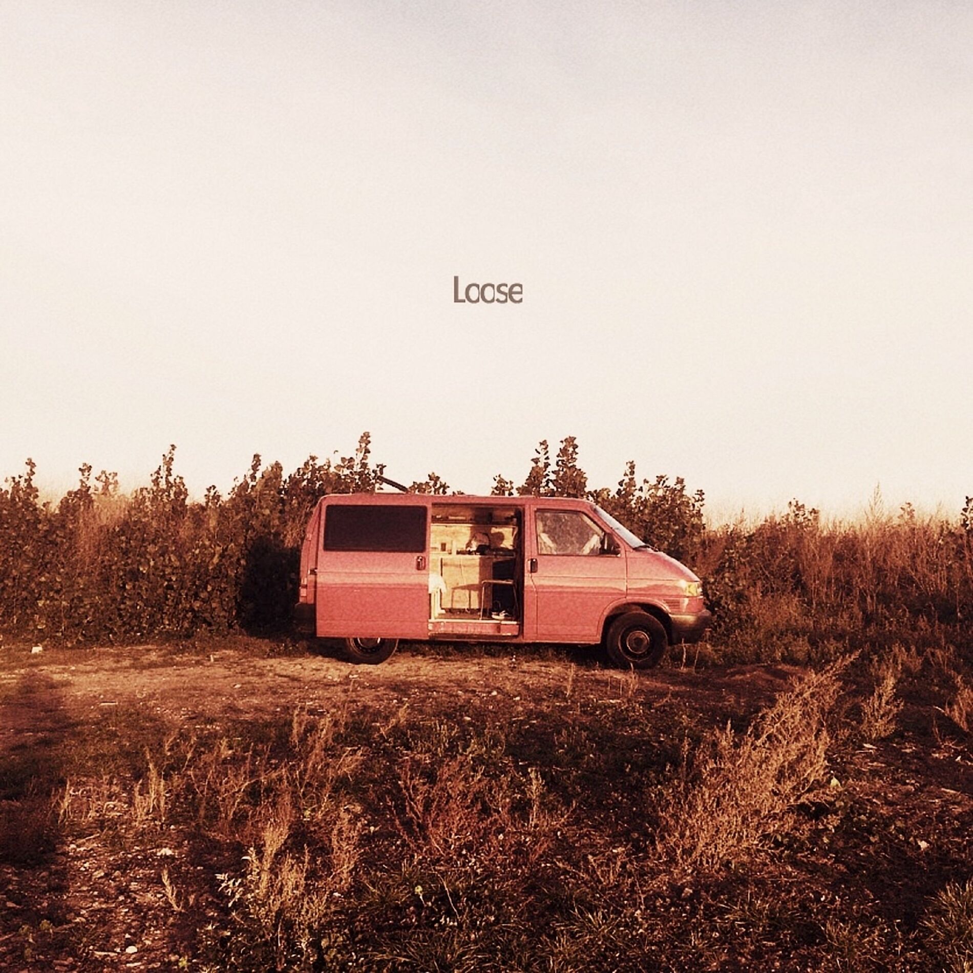 Album cover of Loose