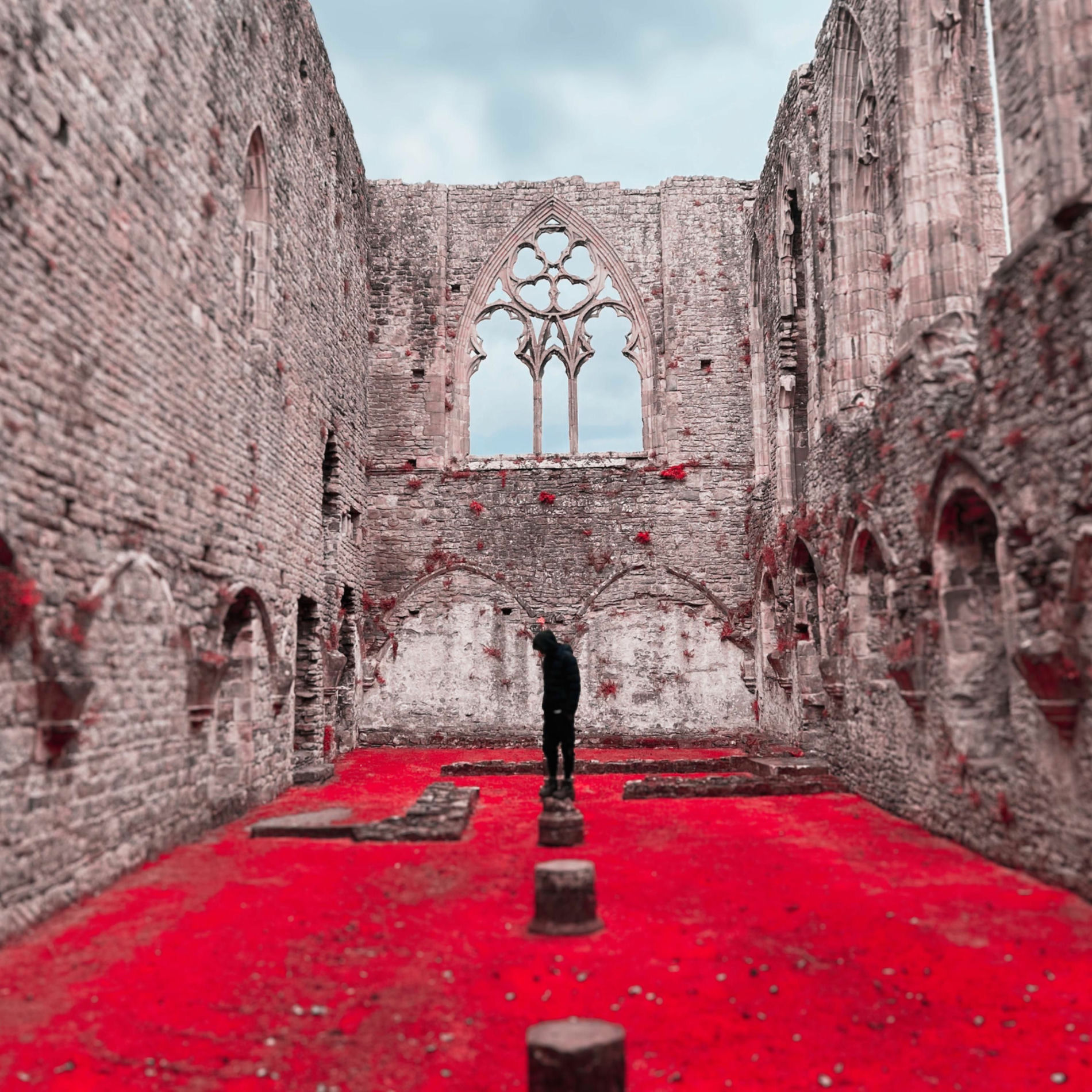 Album cover of Going Back