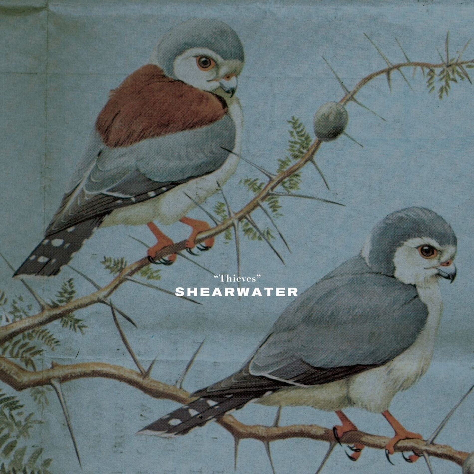Album cover of I Can't Wait