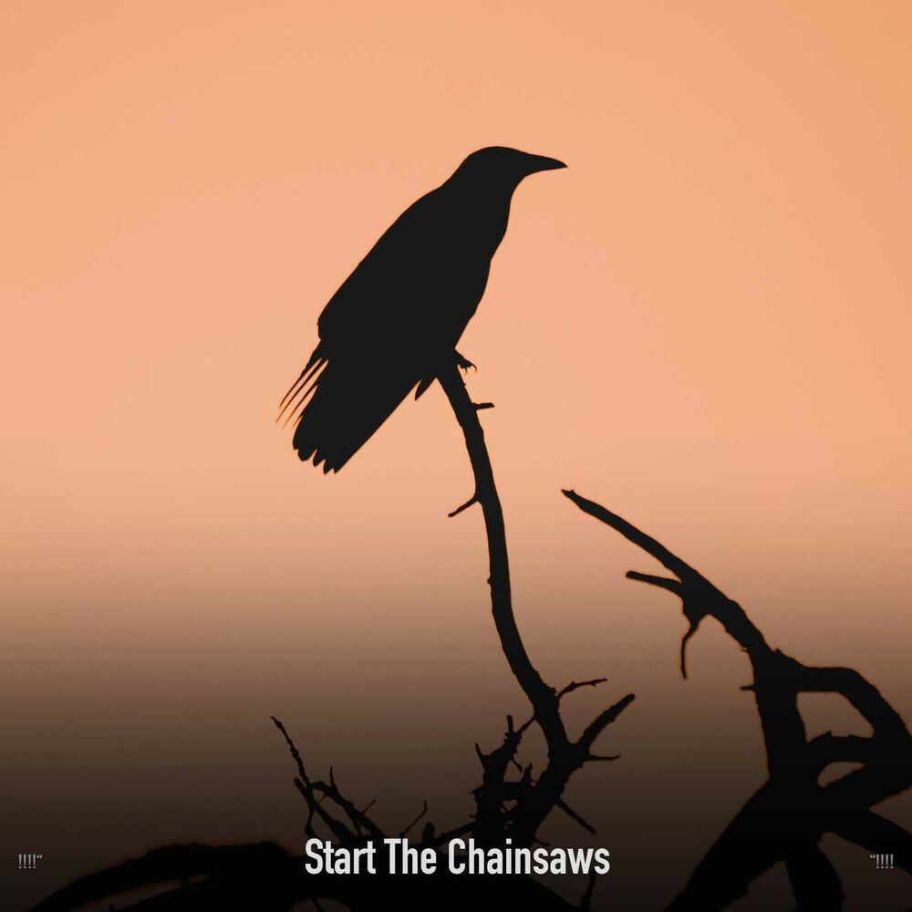 Picture of !!!!" Start The Chainsaws "!!!!
