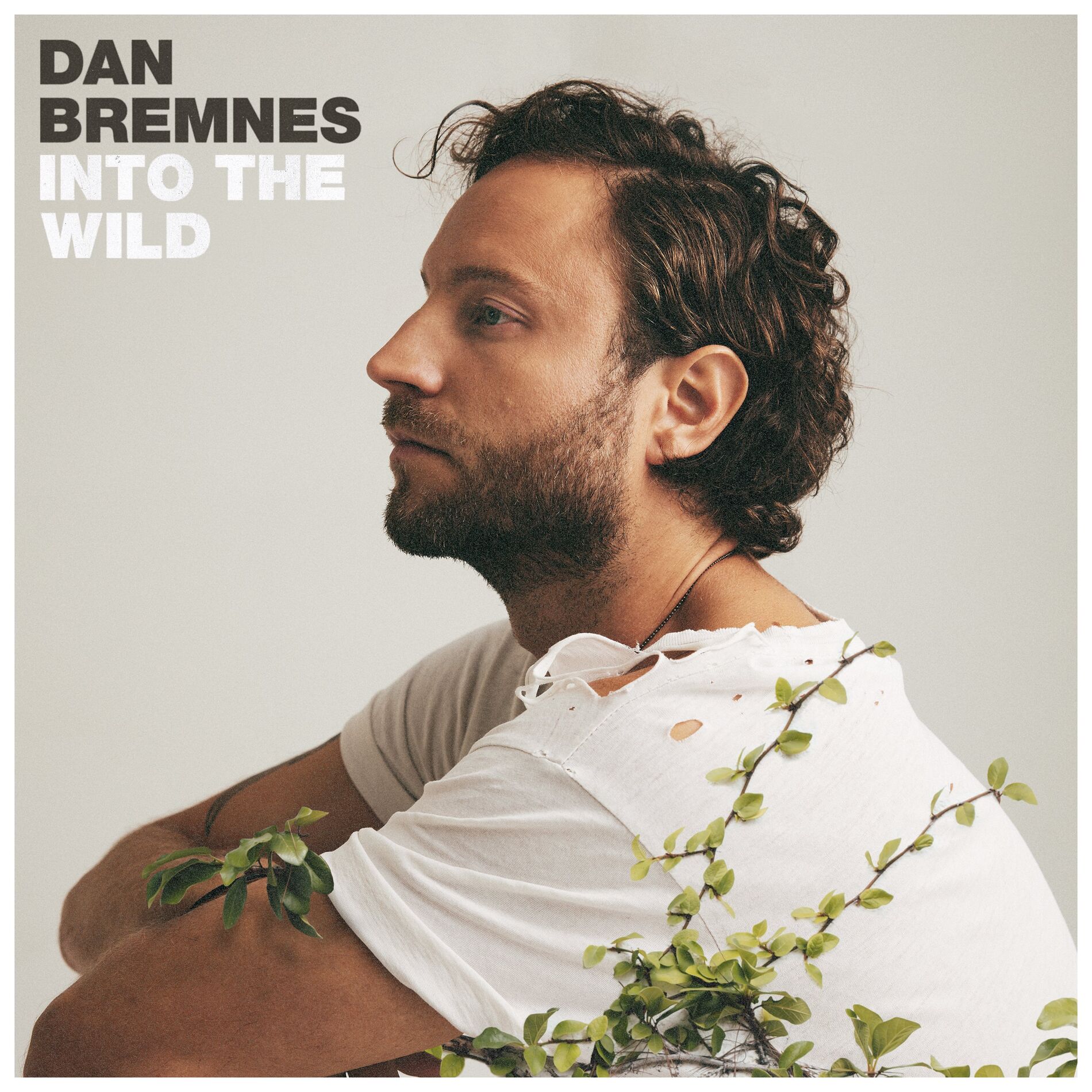 Album cover of Into The Wild