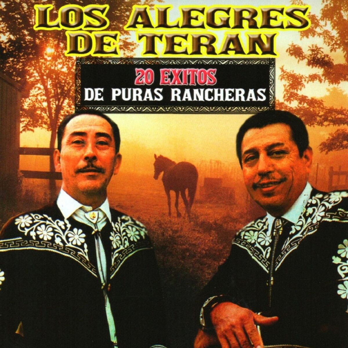 Album cover of 20 Exitos De Puras Rancheras