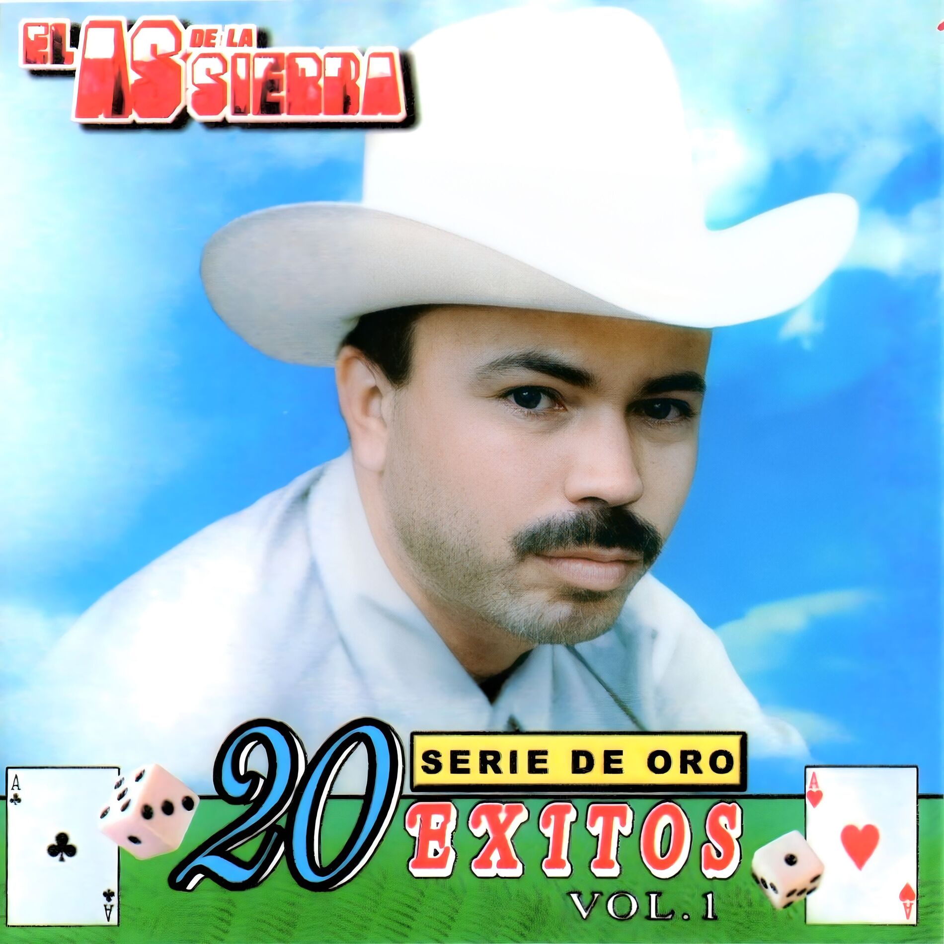 Album cover of Serie de Oro 20 Exitos (Vol. 1)